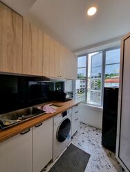 Tiong Bahru Estate (D3), Apartment #359789761